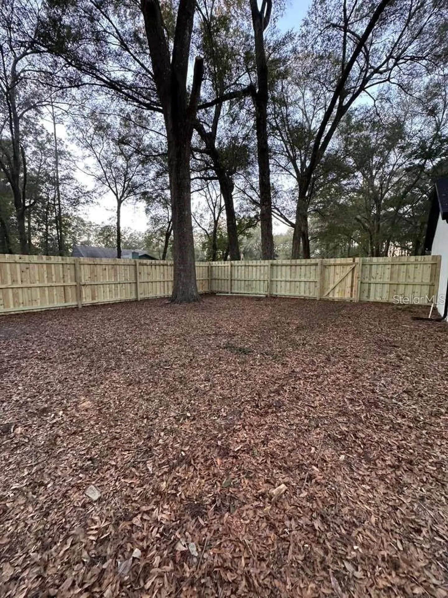 5320 NE 2nd Lane Ocala FL 34470