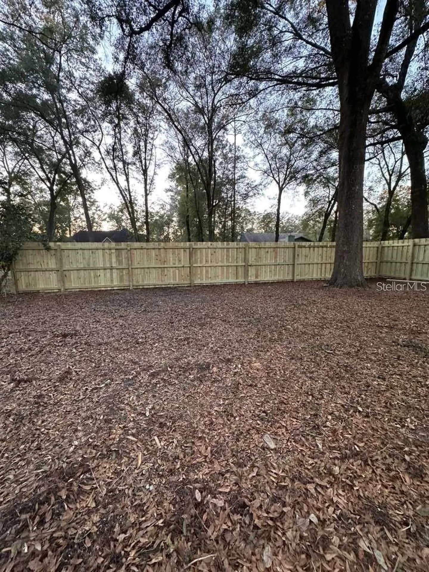 5320 NE 2nd Lane Ocala FL 34470