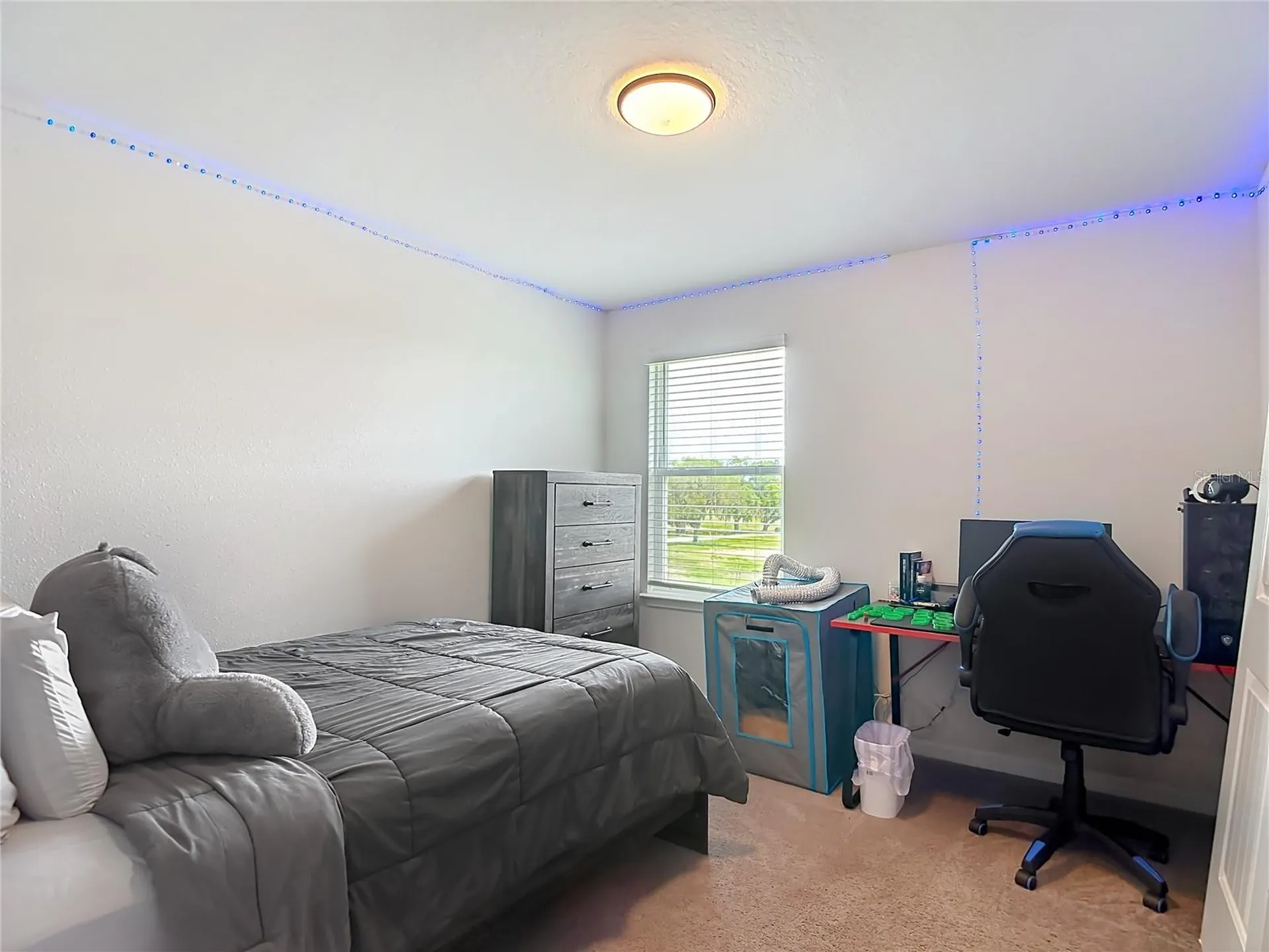 6136 Bradford Woods Drive Zephyrhills FL 33542