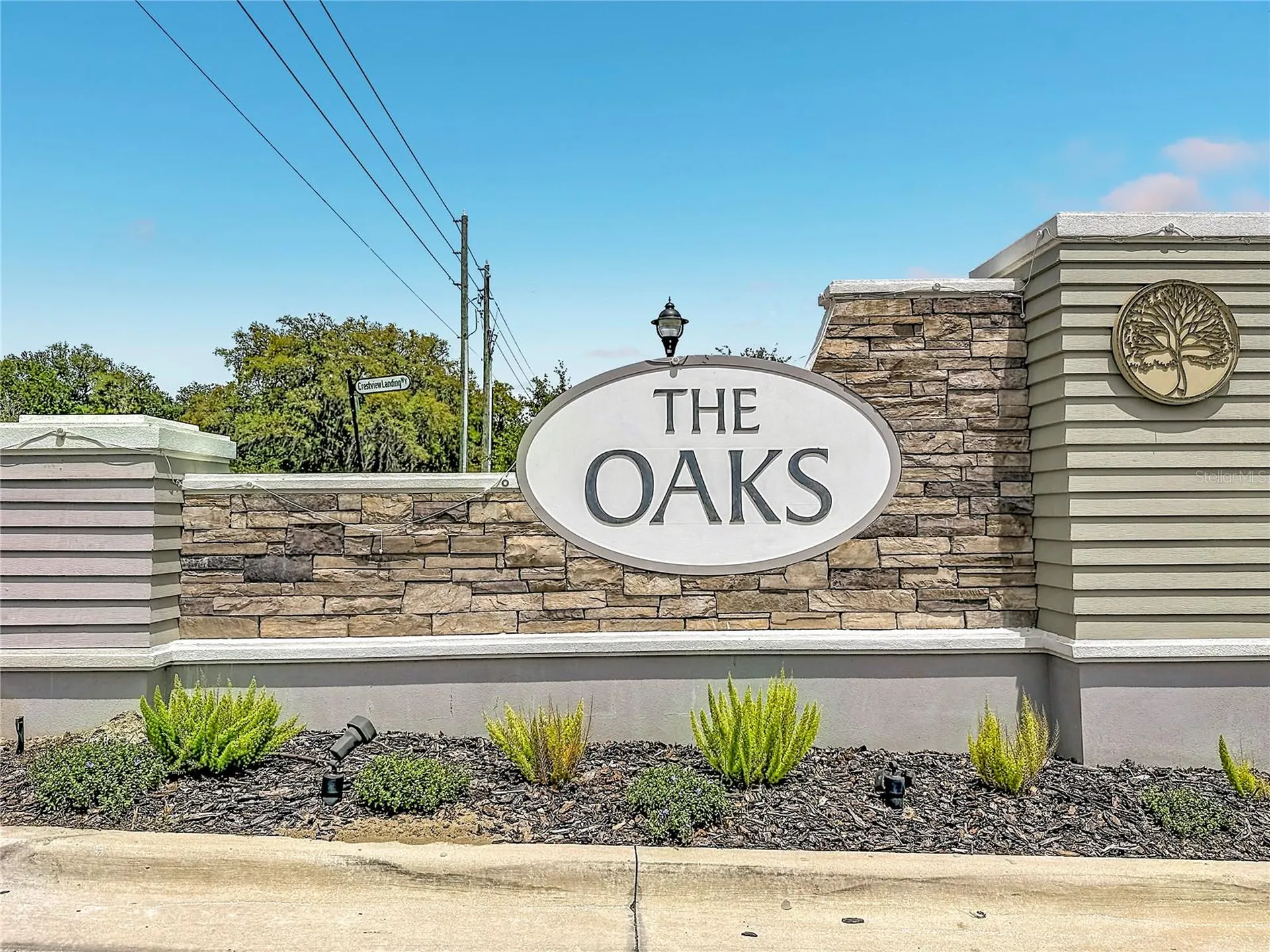 6136 Bradford Woods Drive Zephyrhills FL 33542