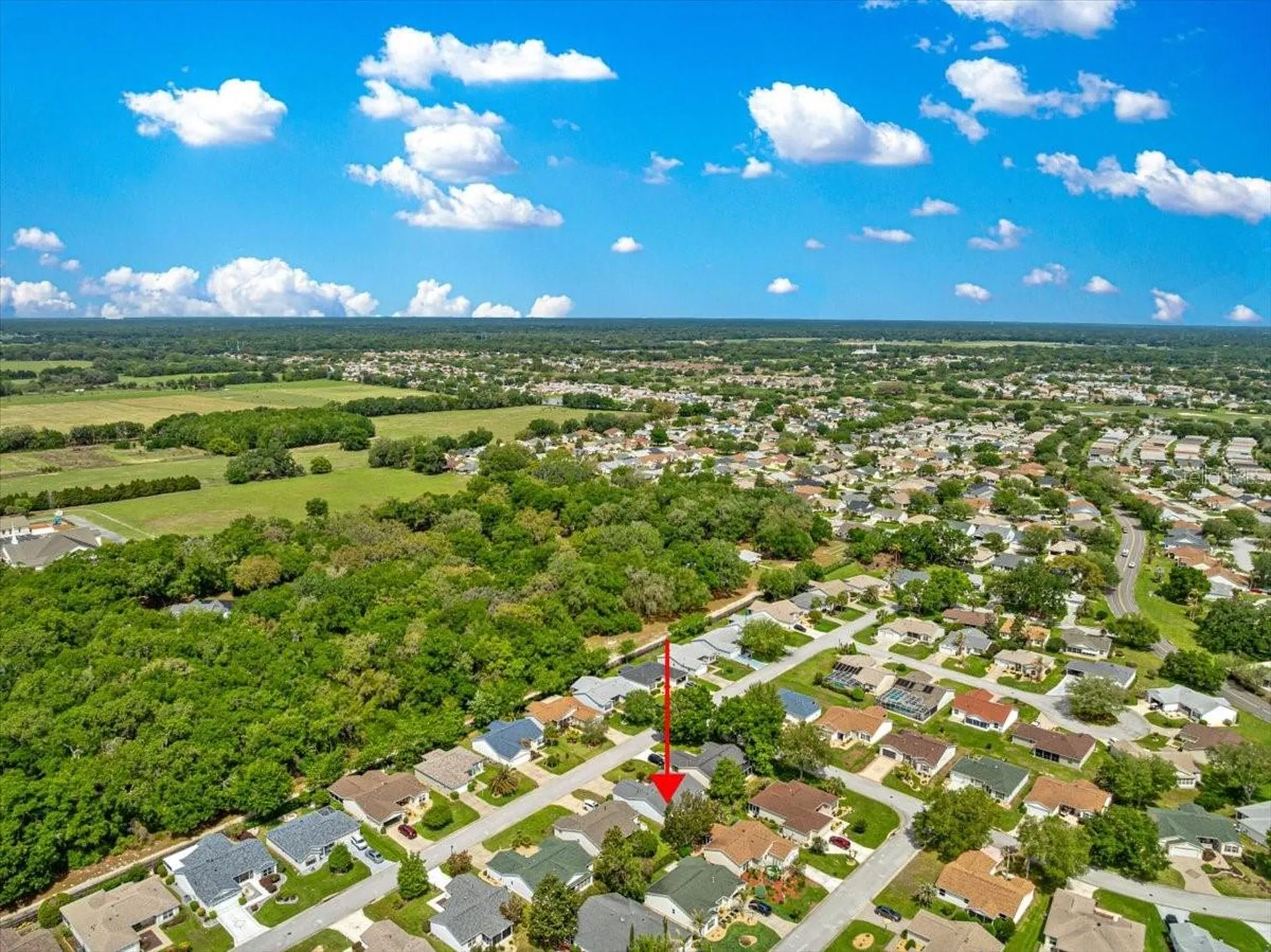 8354 SE 177th Bartram Loop The Villages FL 32162