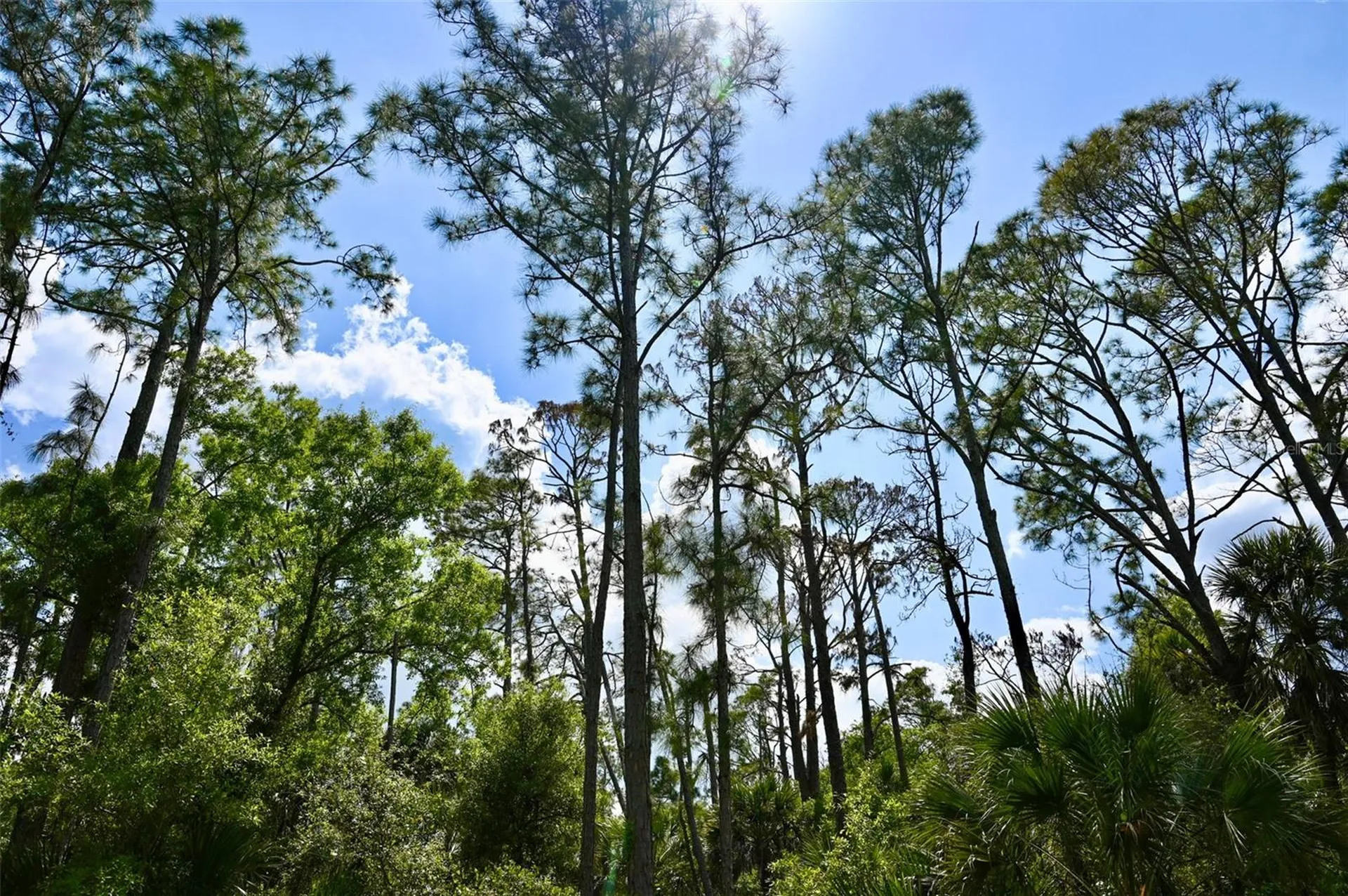 Greenley Road North Port FL 34286