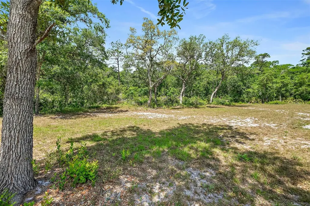 1370 Buckles Road Pierson FL 32180