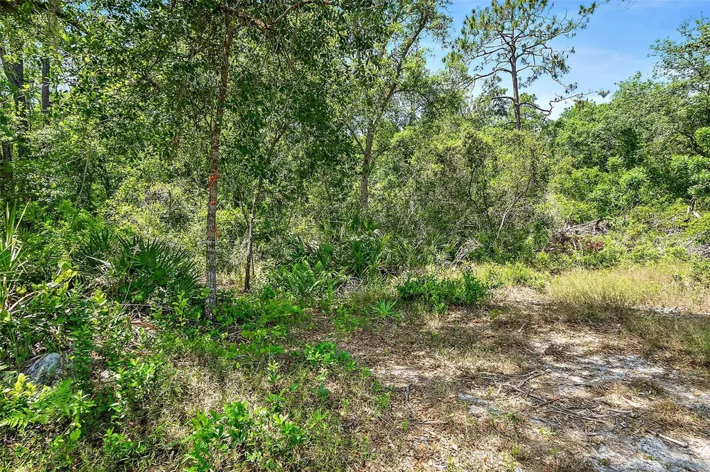 1370 Buckles Road Pierson FL 32180