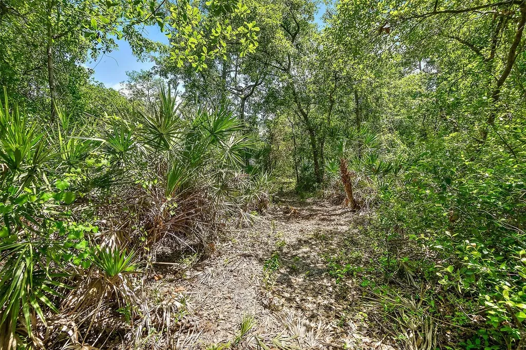 1370 Buckles Road Pierson FL 32180