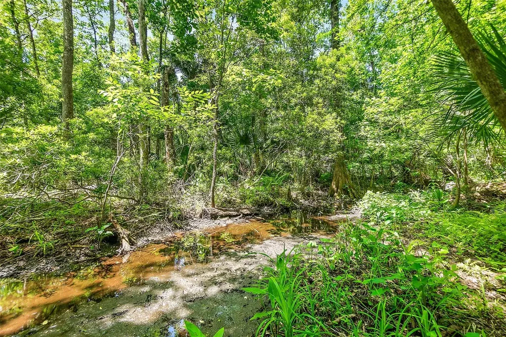 1370 Buckles Road Pierson FL 32180