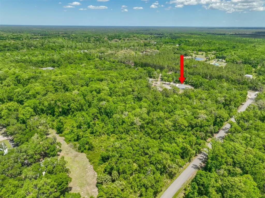 1370 Buckles Road Pierson FL 32180