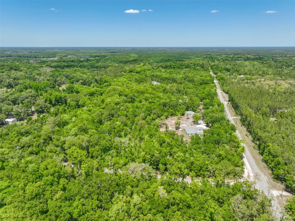 1370 Buckles Road Pierson FL 32180