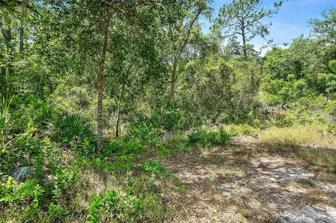 1370 Buckles Road Pierson FL 32180