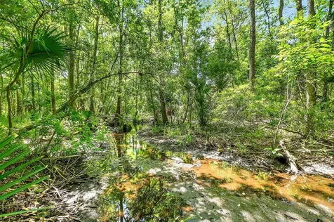 1370 Buckles Road Pierson FL 32180