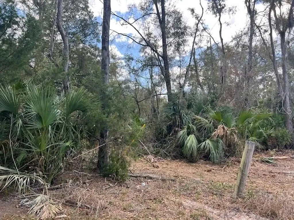 65 SE 153 Avenue Old Town FL 32680