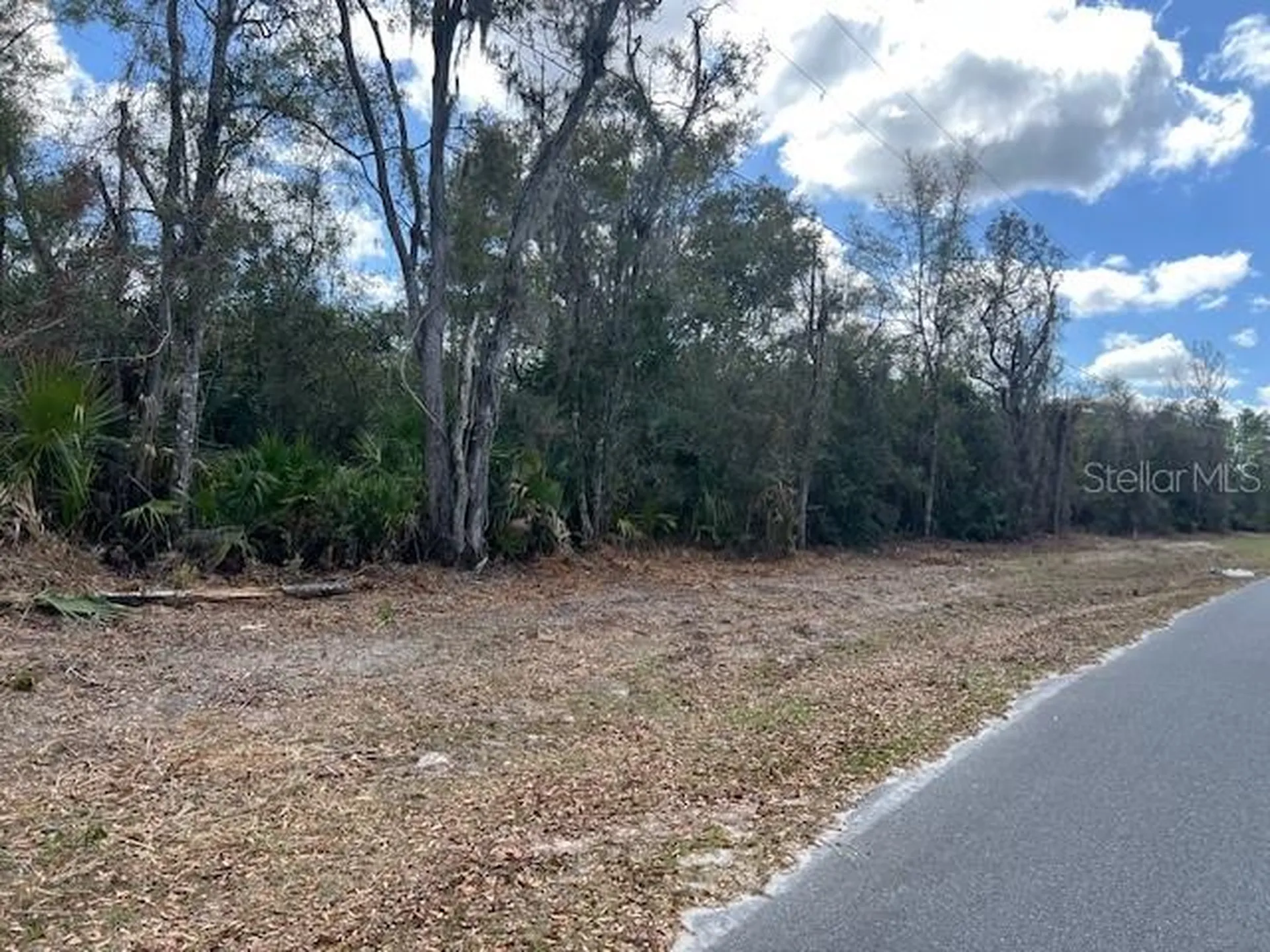 65 SE 153 Avenue Old Town FL 32680