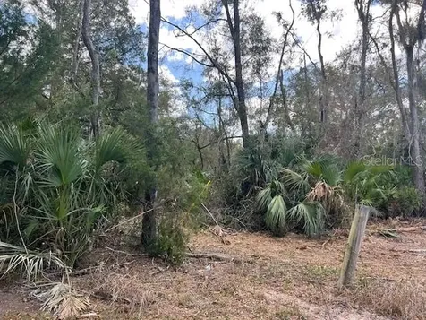 65 SE 153 Avenue Old Town FL 32680