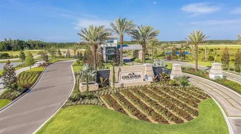 3896 Immacolata Way Wesley Chapel FL 33543