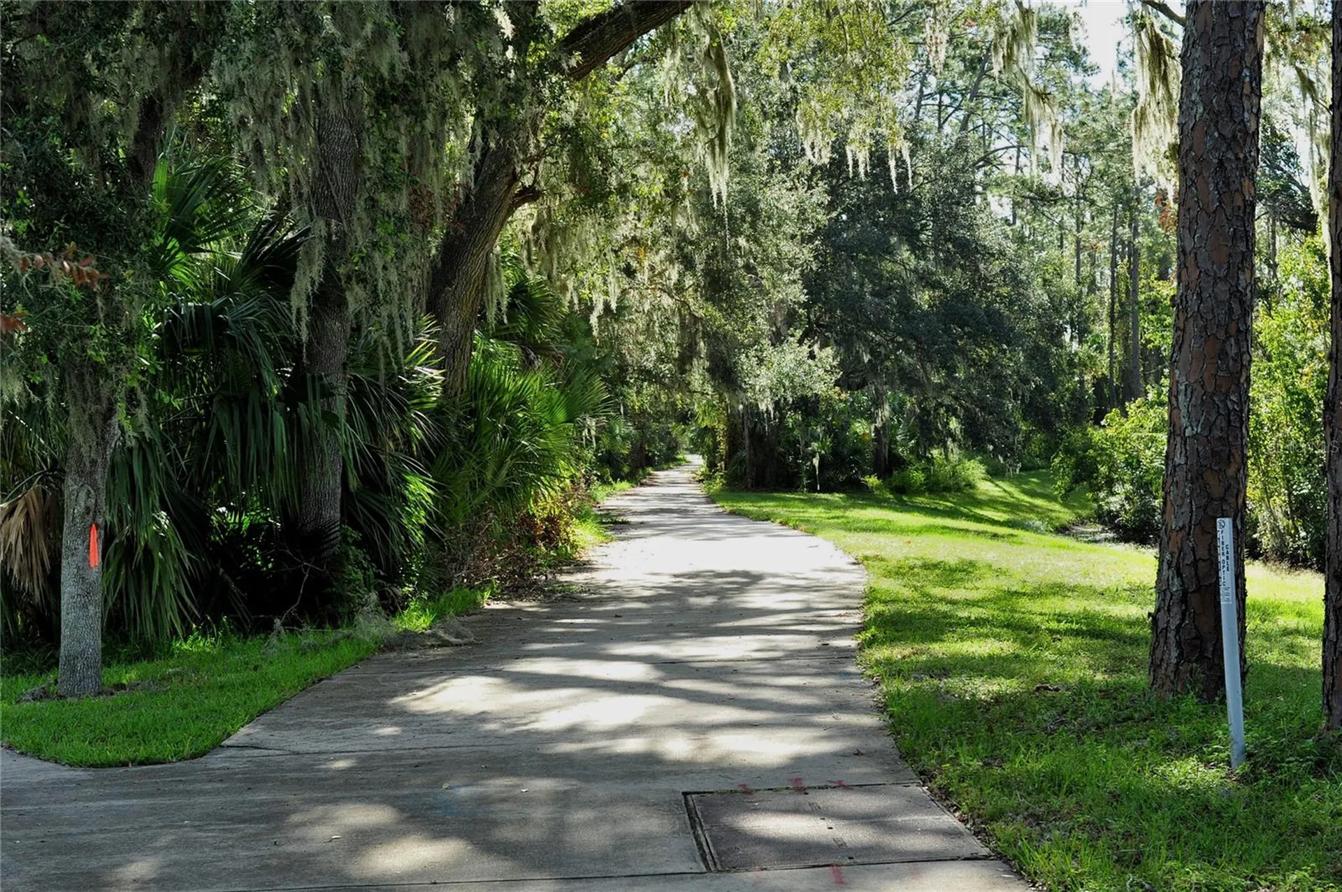 3431 Torre Boulevard New Smyrna Beach FL 32168