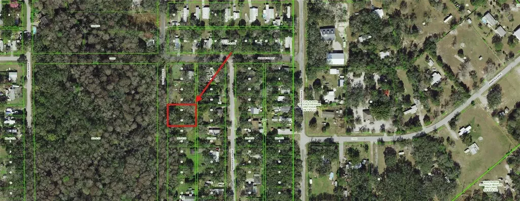 55 Marquerite Avenue New Port Richey FL 34654