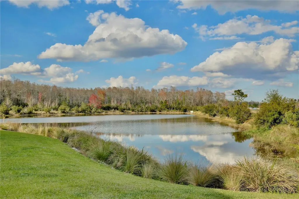 10025 Eagle Rock Alley Orlando FL 32832