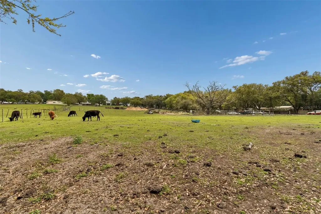 8302 Wire Road Zephyrhills FL 33540