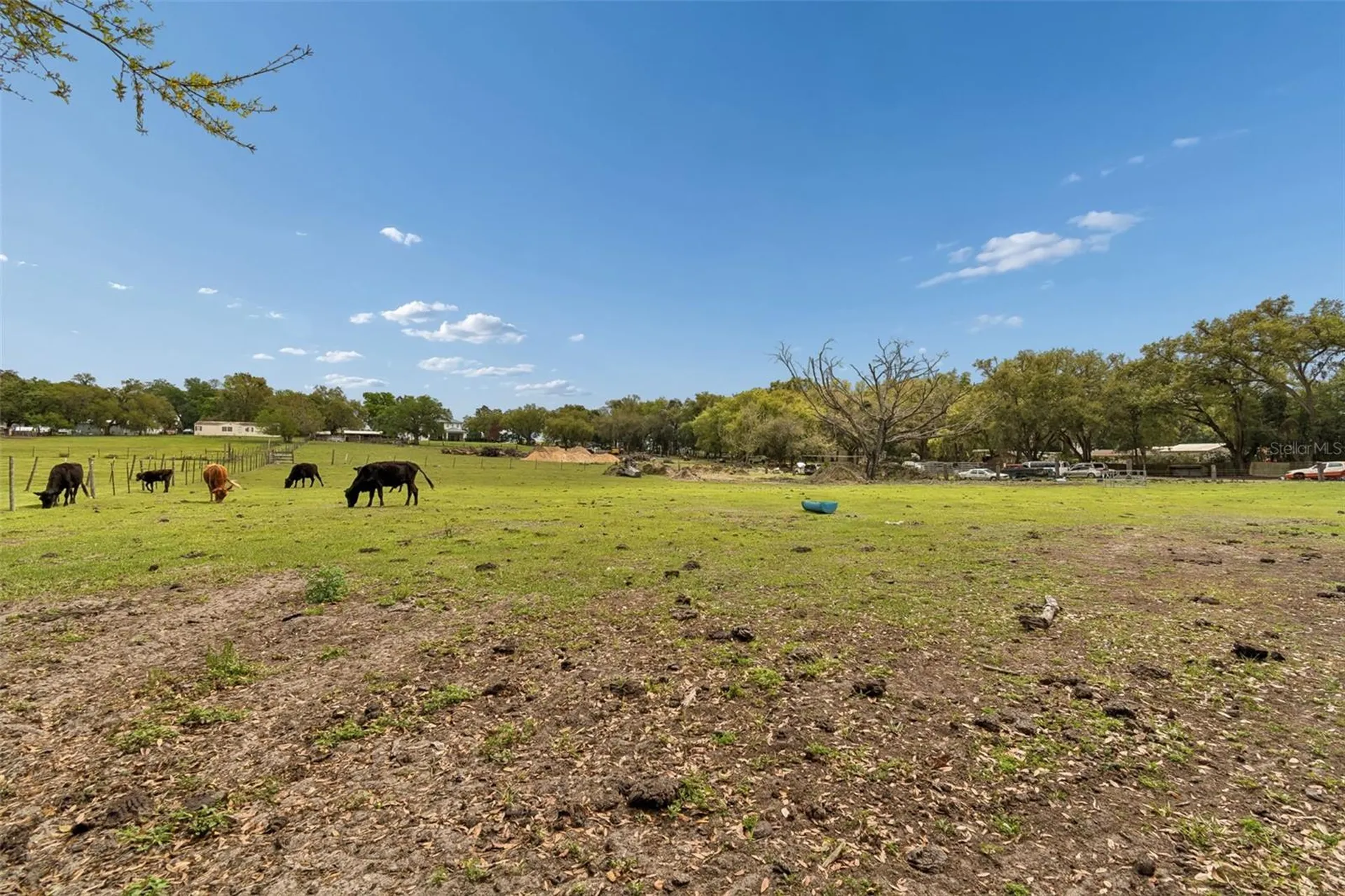 8302 Wire Road Zephyrhills FL 33540