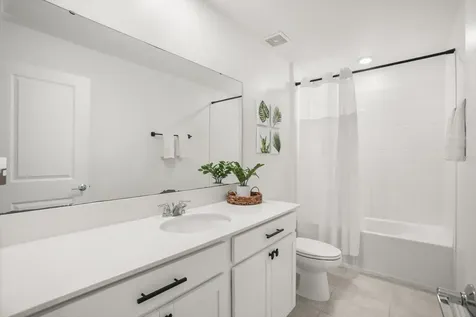 26100 Bristleleaf Court Leesburg FL 34748