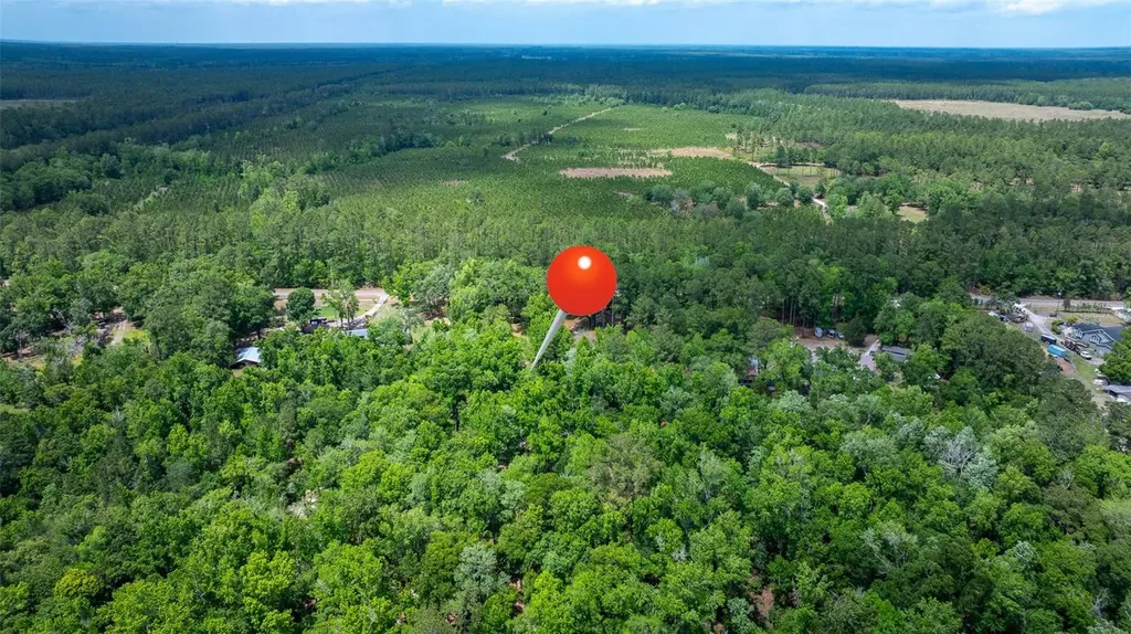 6967 Sharron Road Green Cove Springs FL 32043