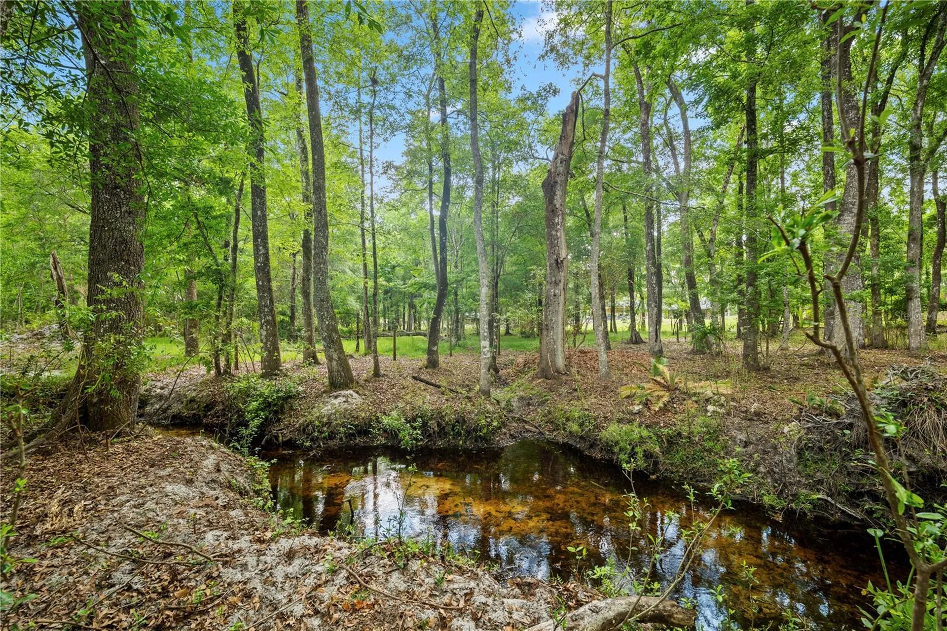 6967 Sharron Road Green Cove Springs FL 32043