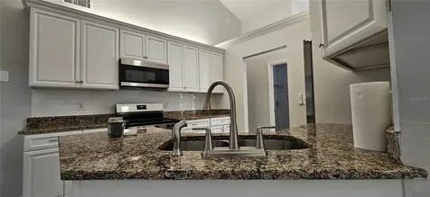 370 S Cobble Court Mount Dora FL 32757