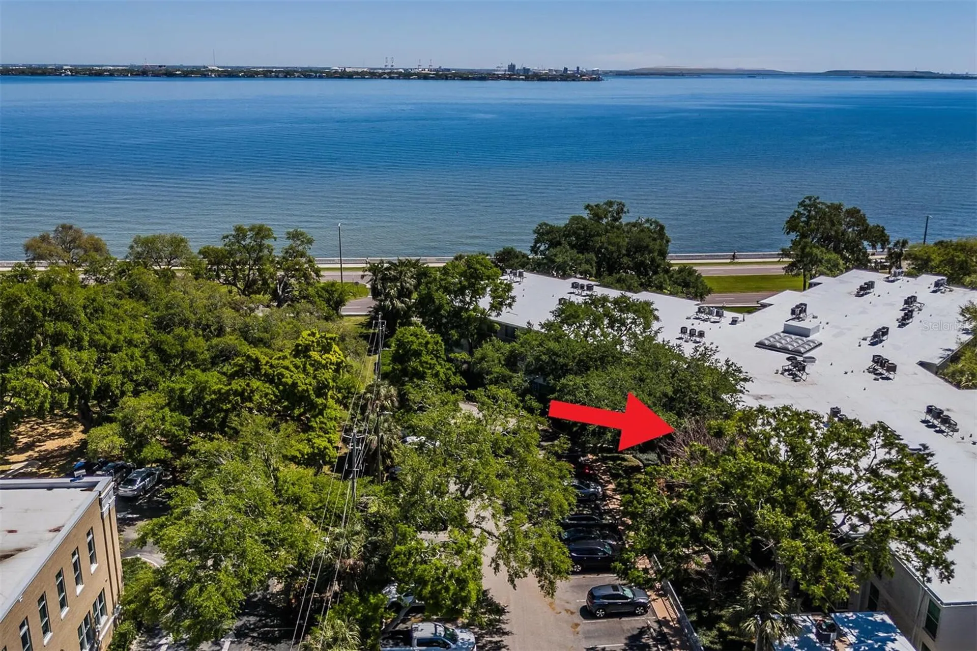 3325 Bayshore Boulevard Tampa FL 33629