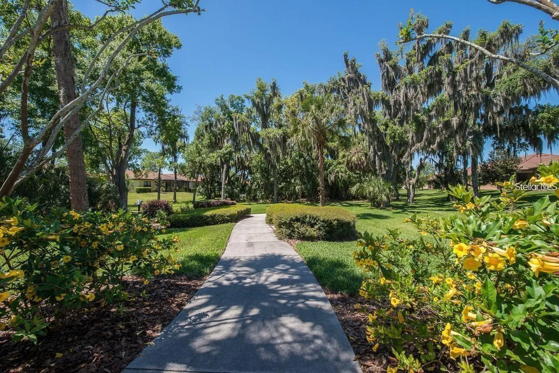 5474 Sunset Falls Drive Apollo Beach FL 33572