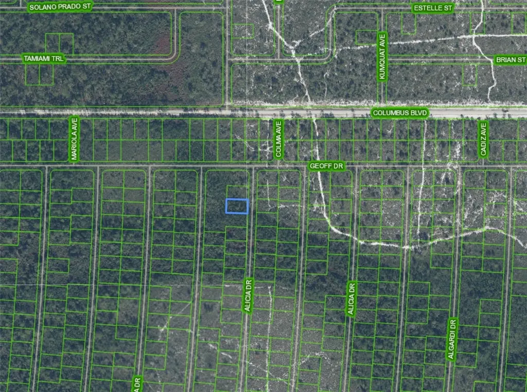6569 Persis Drive Sebring FL 33872