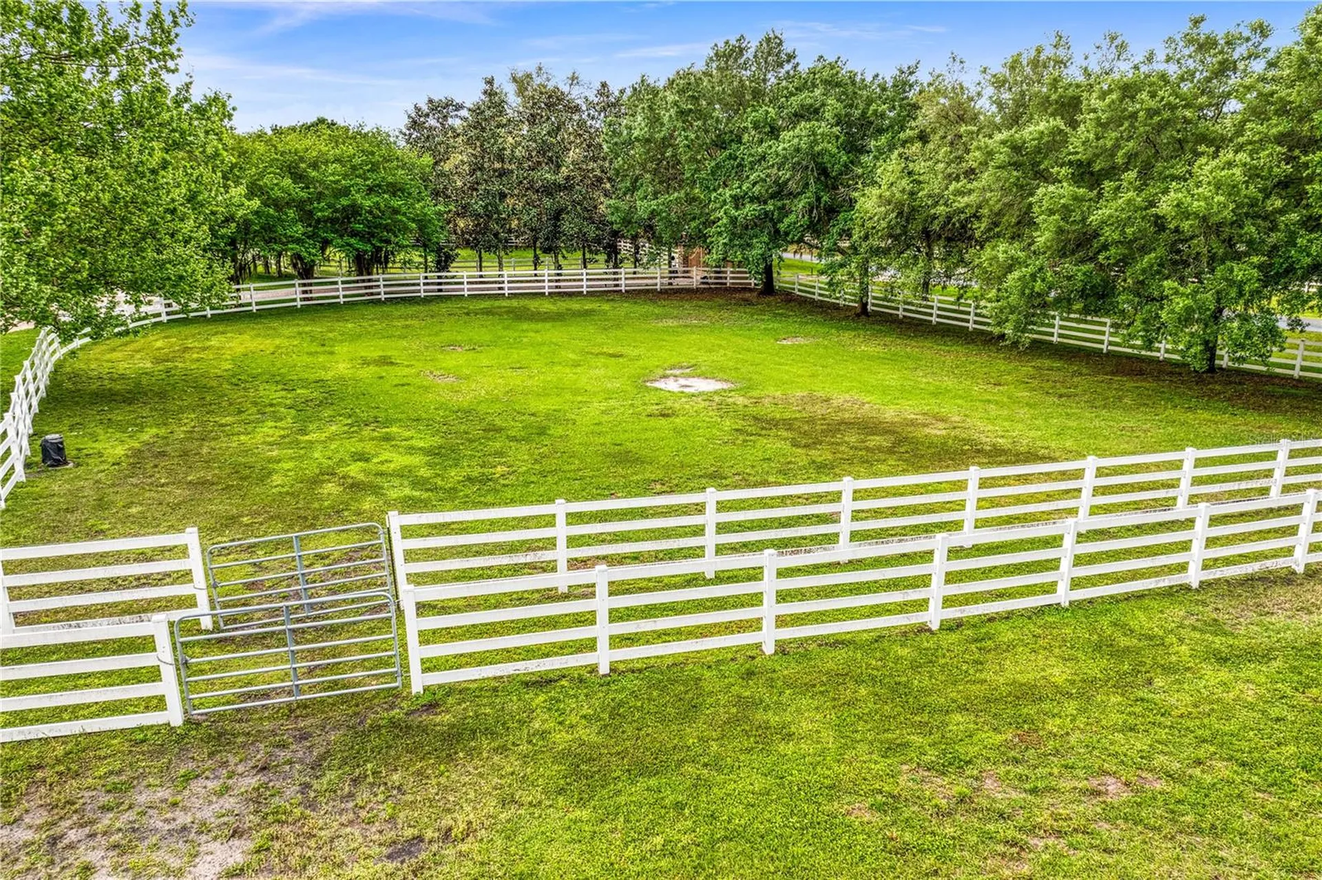 11410 Trotting Down Drive Odessa FL 33556
