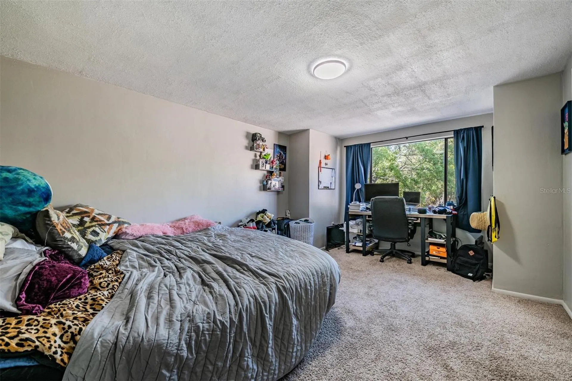 7300 Bellows Falls Lane Hudson FL 34667