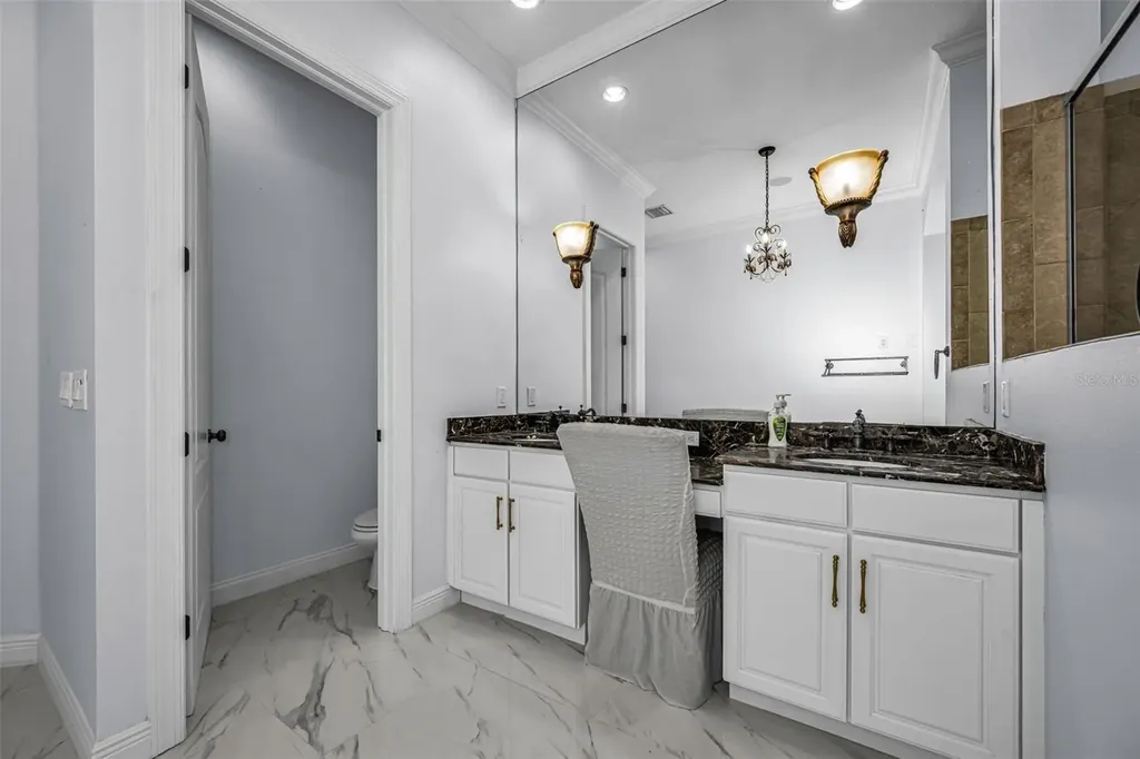 10706 Ruffino Court Trinity FL 34655