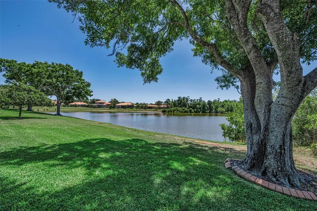 10706 Ruffino Court Trinity FL 34655