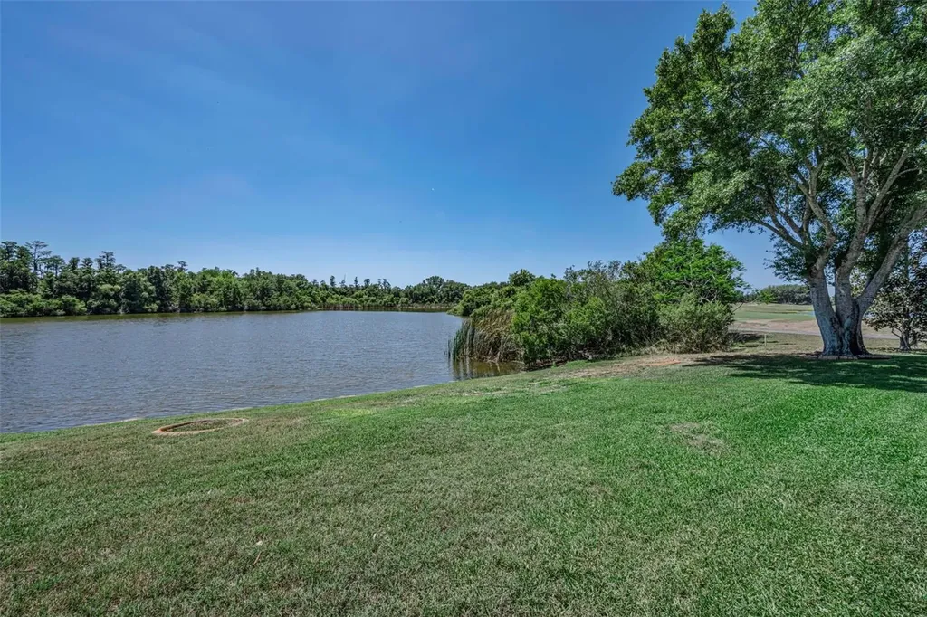 10706 Ruffino Court Trinity FL 34655