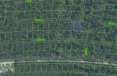 6714 Venetia Drive Sebring FL 33872