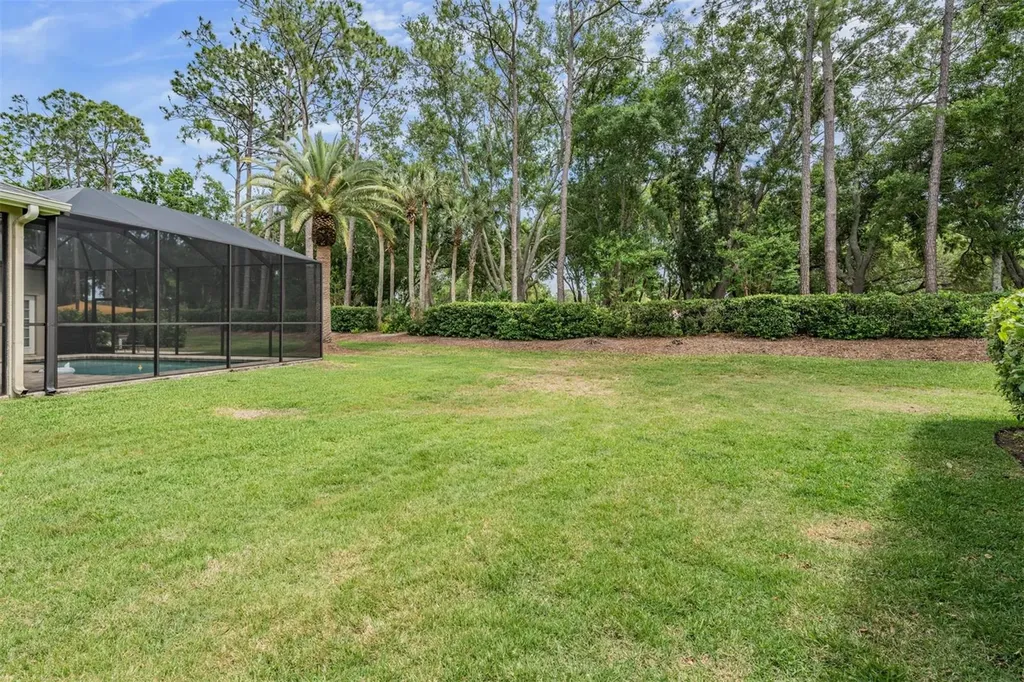 3596 Florian Terrace Palm Harbor FL 34685