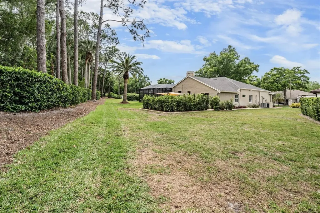 3596 Florian Terrace Palm Harbor FL 34685