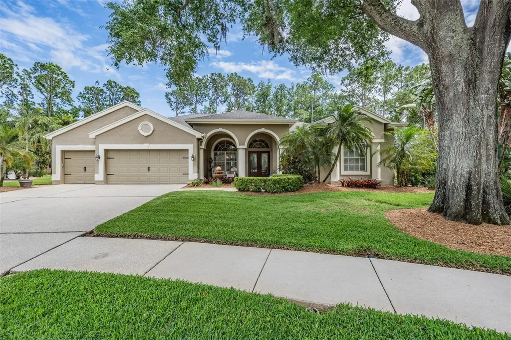 3596 Florian Terrace Palm Harbor FL 34685