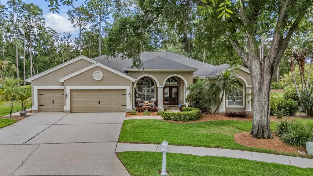3596 Florian Terrace Palm Harbor FL 34685
