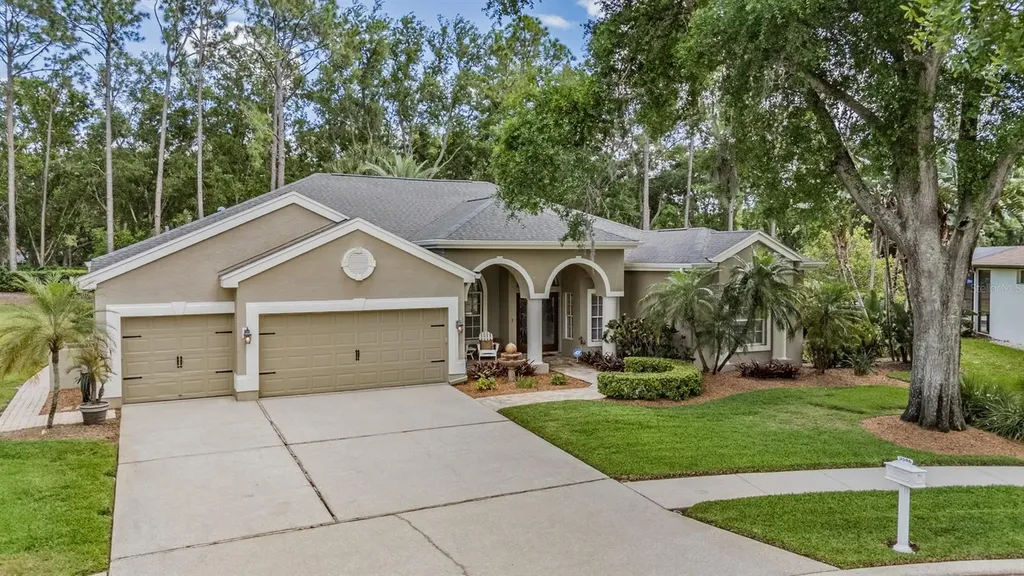 3596 Florian Terrace Palm Harbor FL 34685