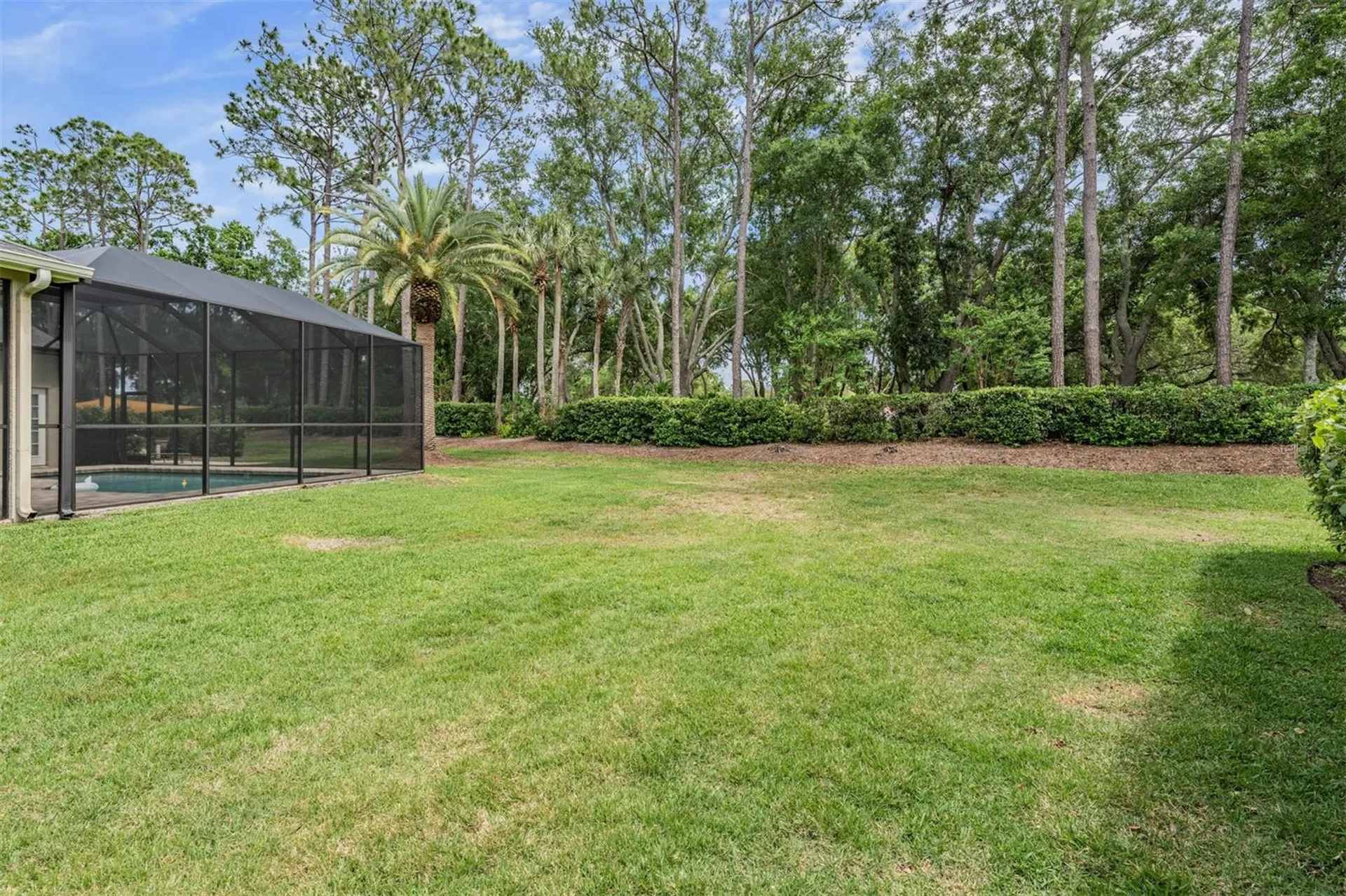 3596 Florian Terrace Palm Harbor FL 34685