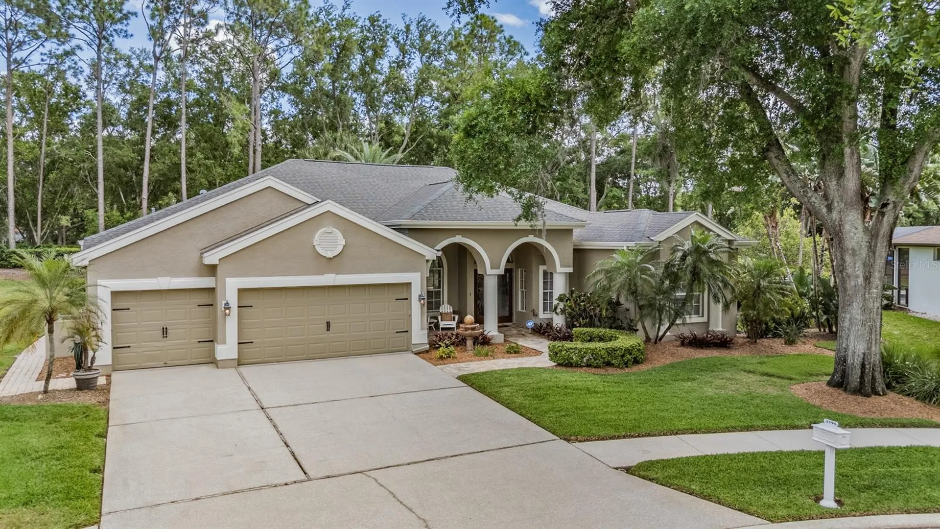 3596 Florian Terrace Palm Harbor FL 34685