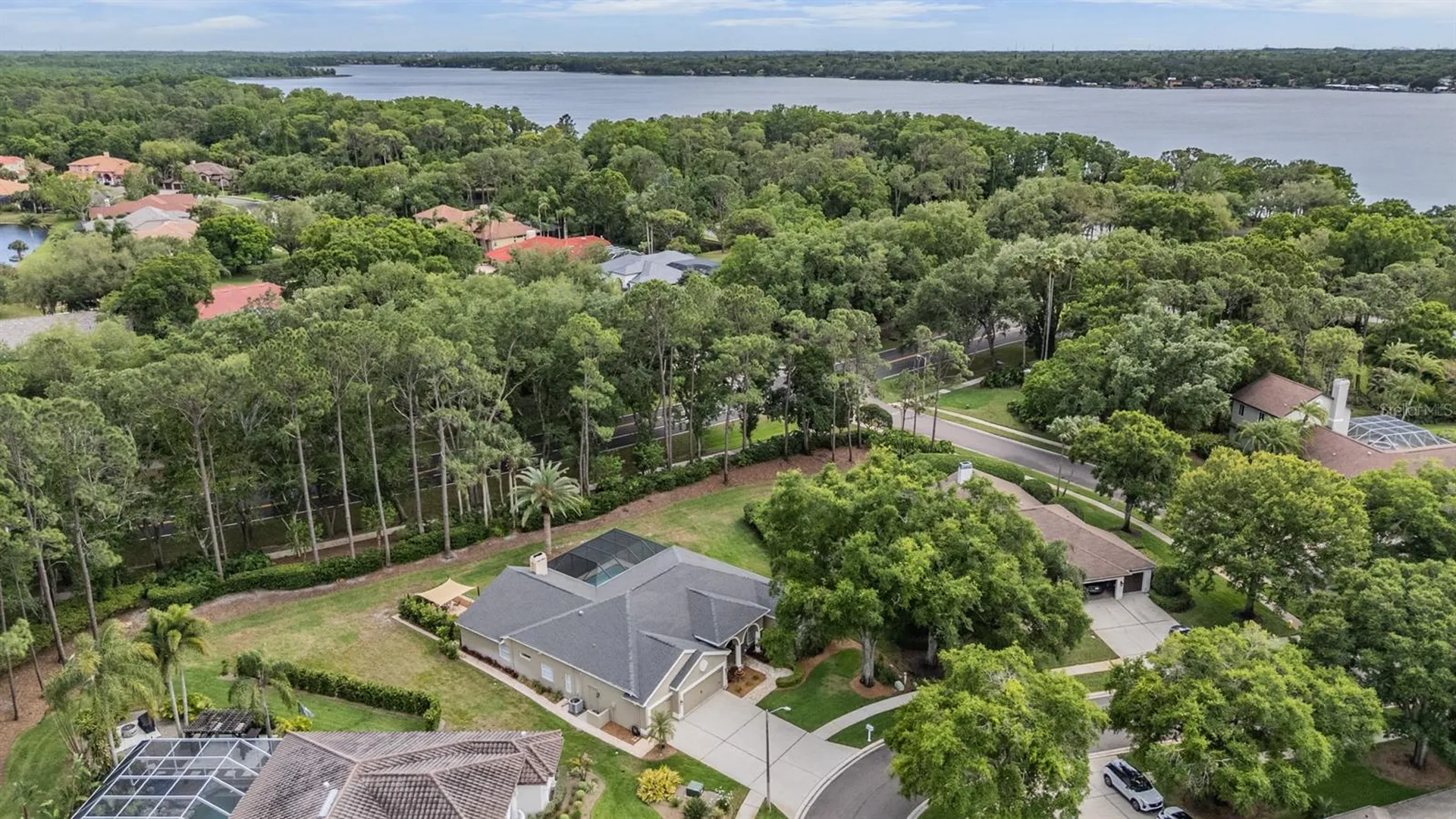 3596 Florian Terrace Palm Harbor FL 34685