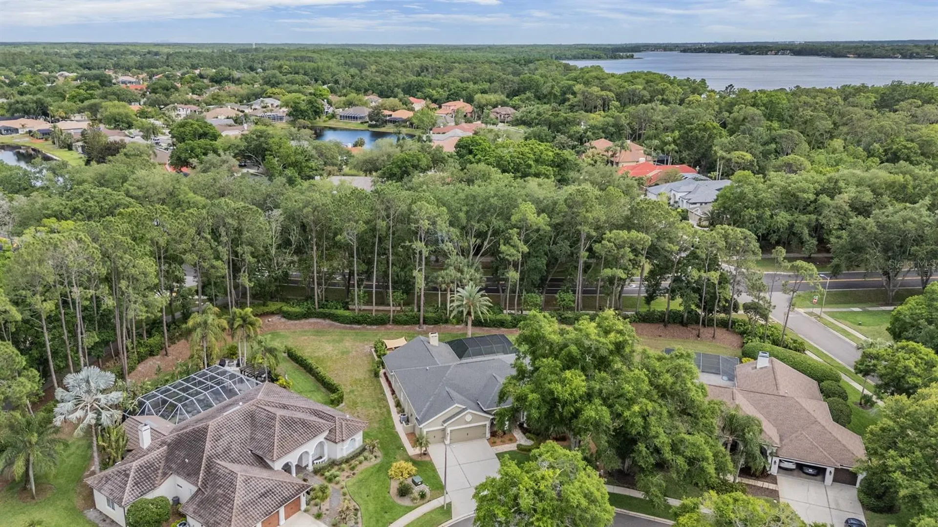 3596 Florian Terrace Palm Harbor FL 34685