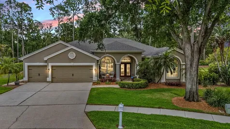 3596 Florian Terrace Palm Harbor FL 34685