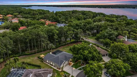 3596 Florian Terrace Palm Harbor FL 34685