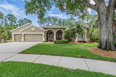 3596 Florian Terrace Palm Harbor FL 34685