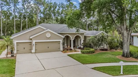 3596 Florian Terrace Palm Harbor FL 34685