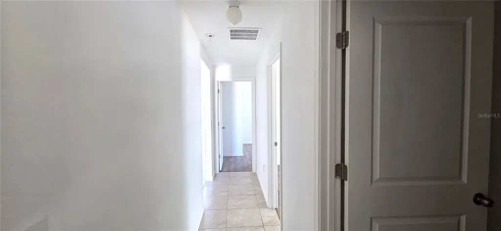 10033 Crested Fringe Drive Riverview FL 33578